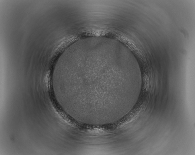 X0000111840594200907301052