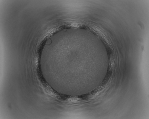 X0000111840595200907301052