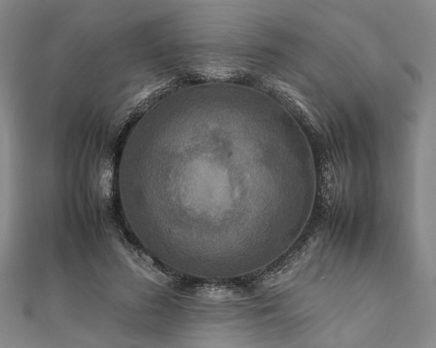 X0000111840596200907301052