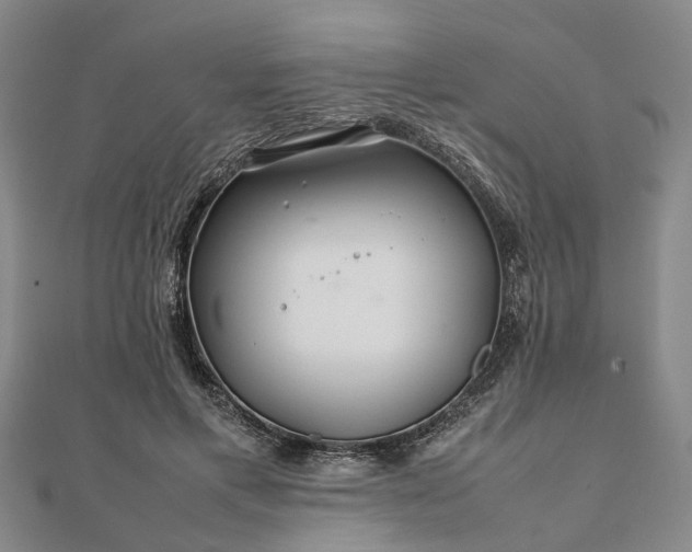 X0000111840597200907301052