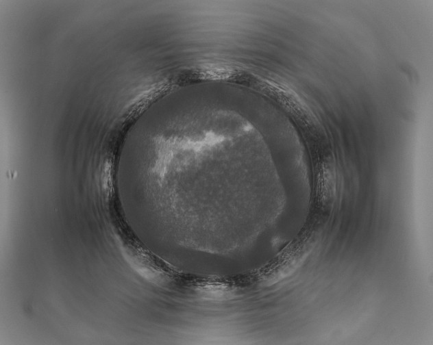 X0000111840598200907301052