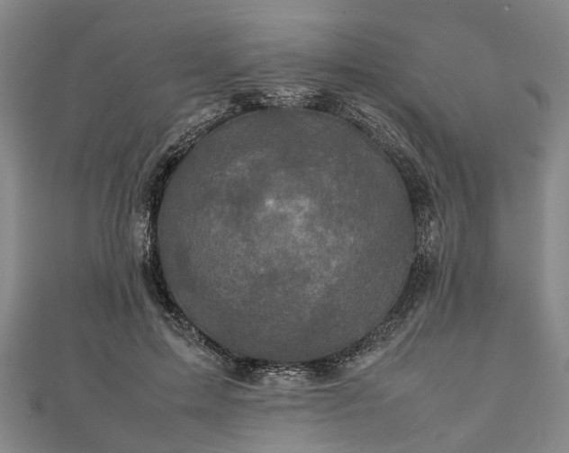 X0000111840599200907301052