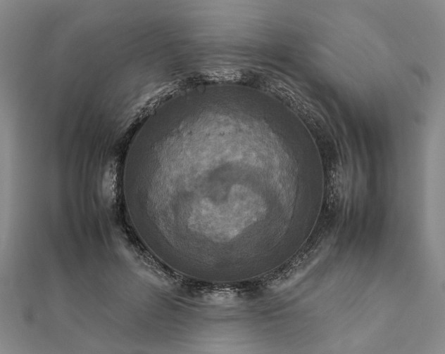 X0000111840600200907301052