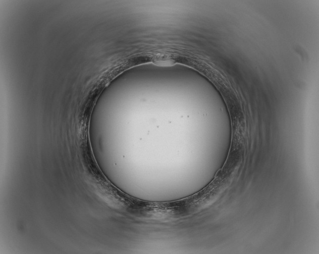 X0000111840601200907301052