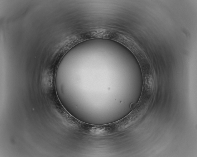 X0000111840602200907301052