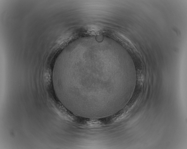 X0000111840603200907301052