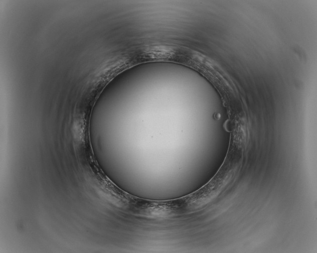 X0000111840604200907301052