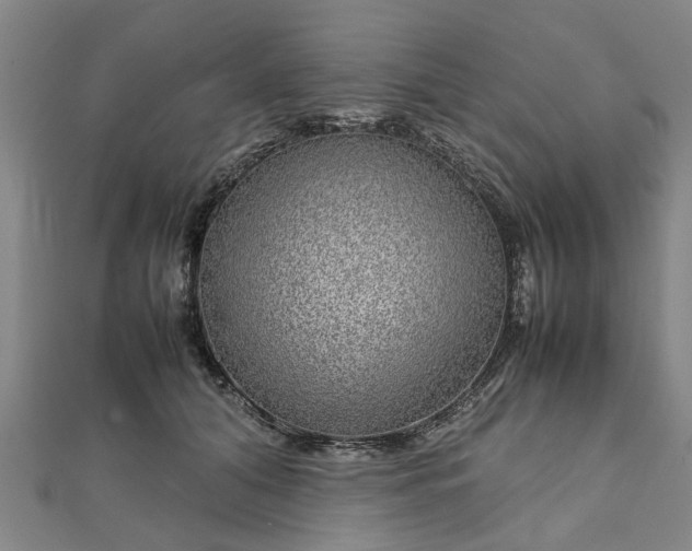 X0000111840608200907301052