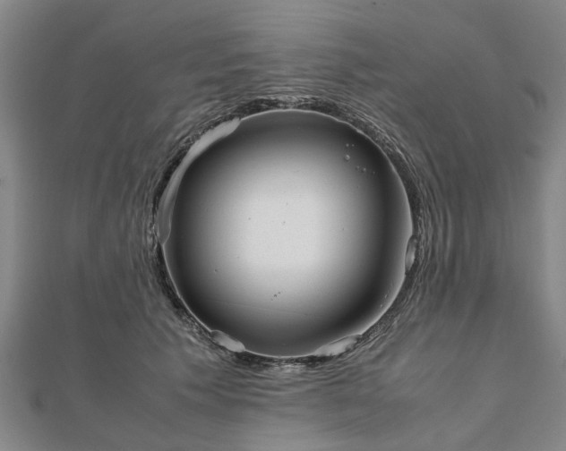 X0000111840609200907301052