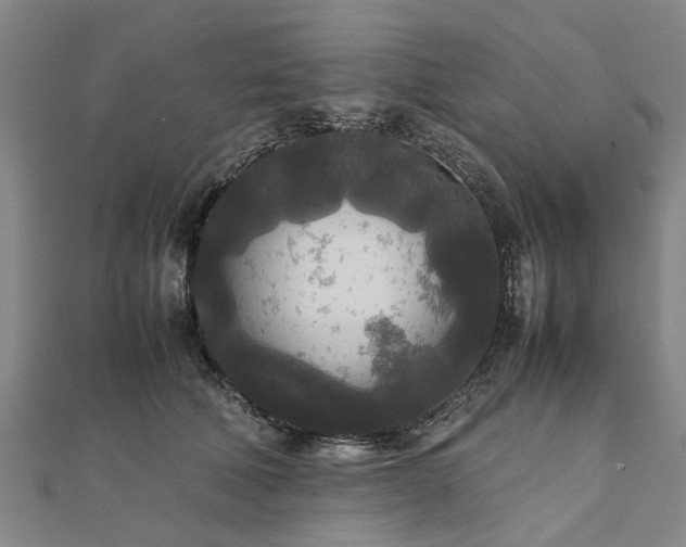 X0000111840610200907301052