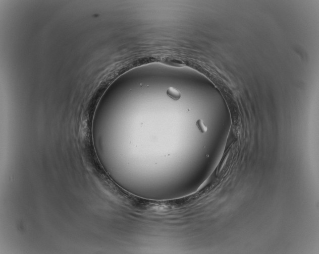 X0000111840611200907301052