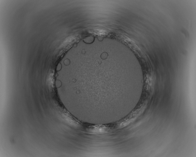 X0000111840612200907301052