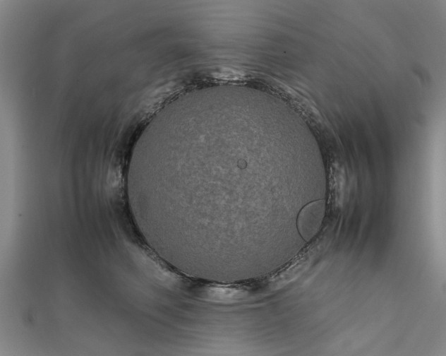 X0000111840614200907301051