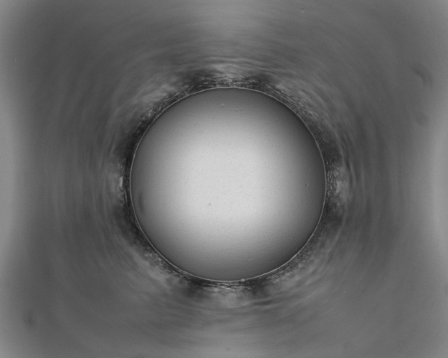 X0000111840615200907301051