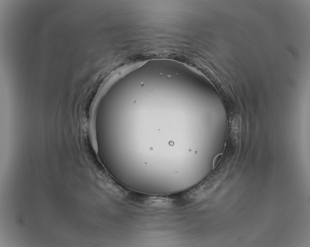 X0000111840617200907301051