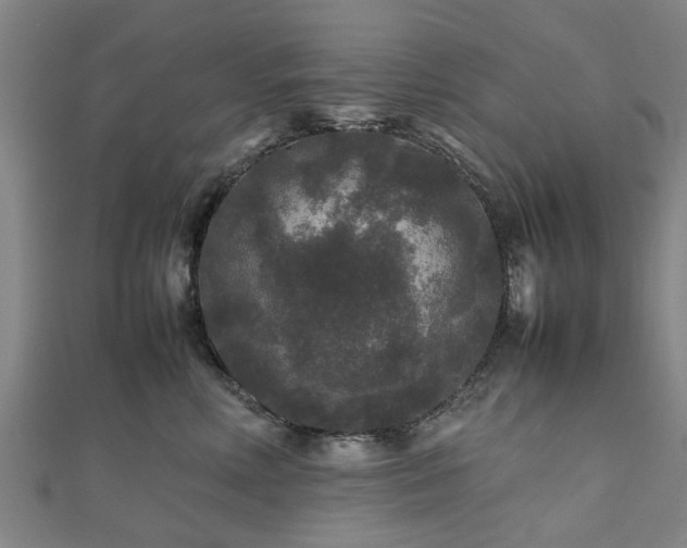 X0000111840618200907301051