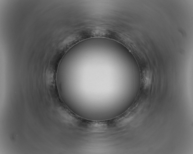 X0000111840619200907301051