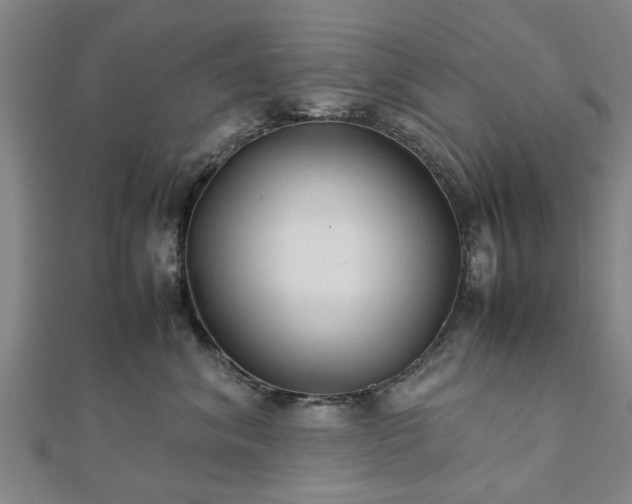 X0000111840620200907301051