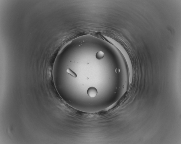 X0000111840621200907301051