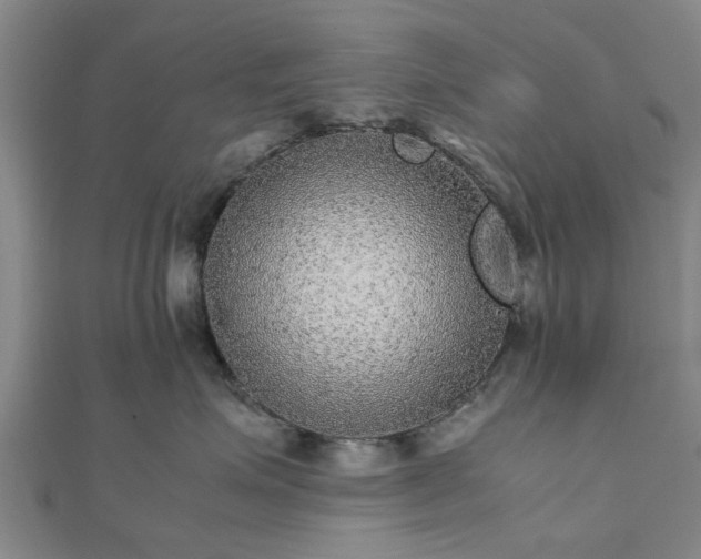 X0000111840623200907301051