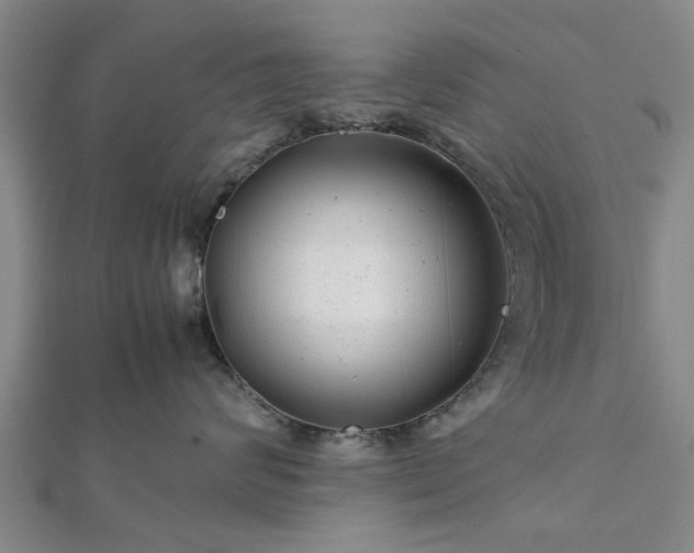 X0000111840624200907301051