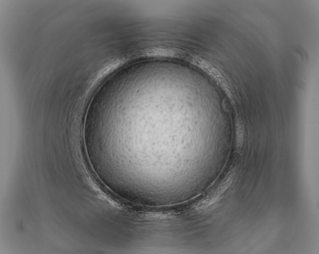 X0000111840625200907301051