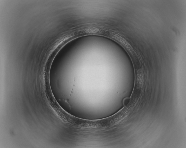 X0000111840626200907301051