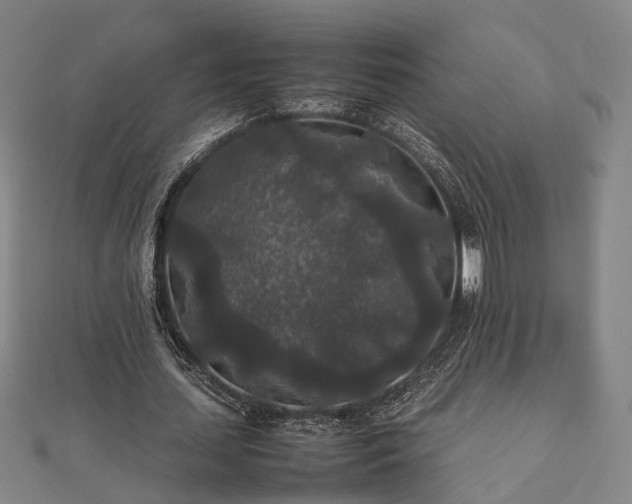 X0000111840627200907301051