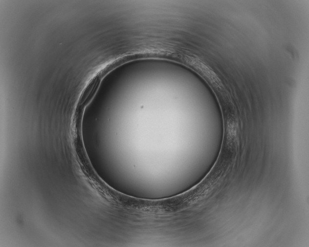 X0000111840628200907301051