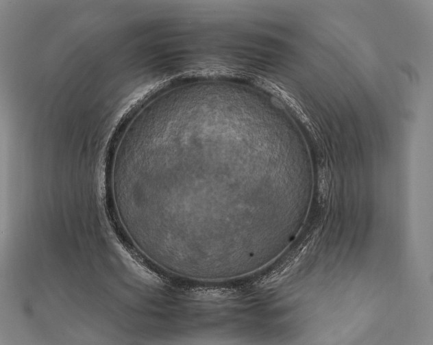 X0000111840629200907301051