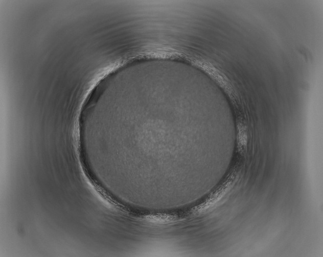 X0000111840630200907301051