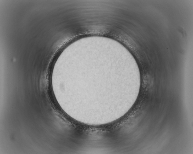 X0000111840632200907301051