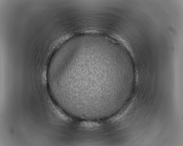 X0000111840633200907301051