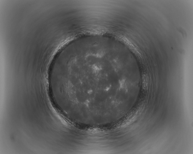 X0000111840634200907301051