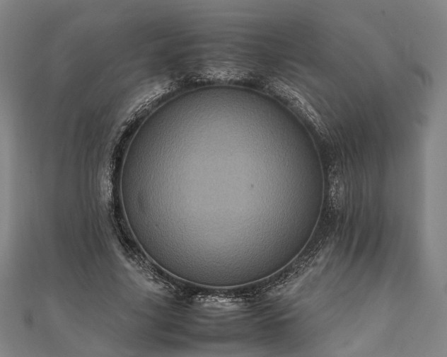 X0000111840635200907301051