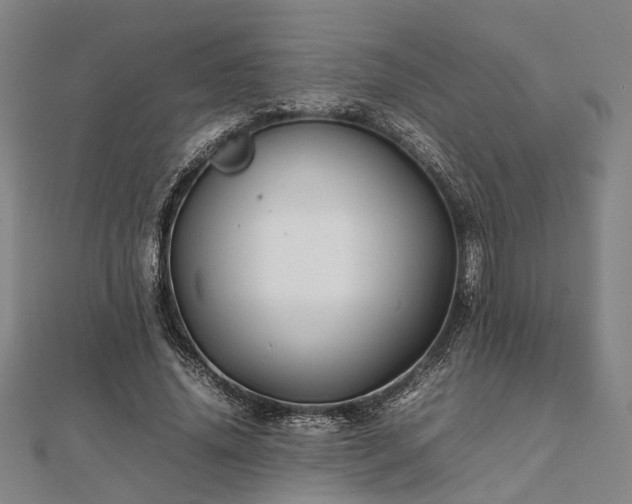 X0000111840636200907301051