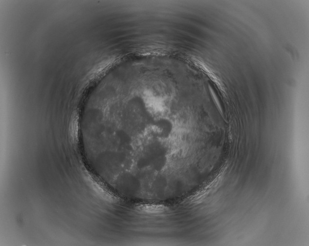 X0000111840637200907301051