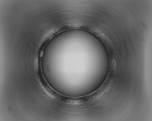 X0000111840638200907301051