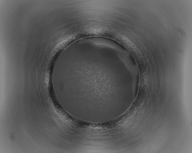 X0000111840640200907301051