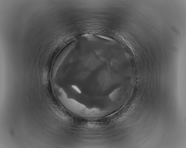 X0000111840641200907301051