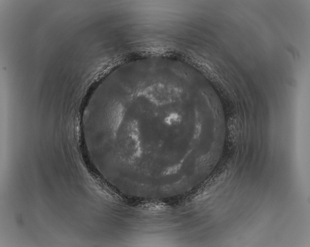 X0000111840642200907301051