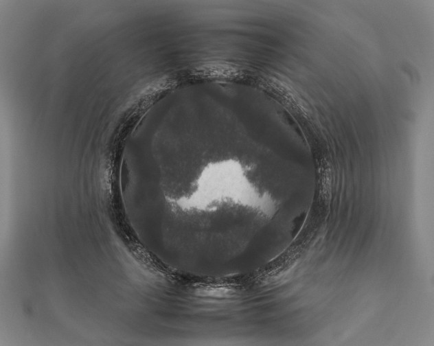 X0000111840643200907301051