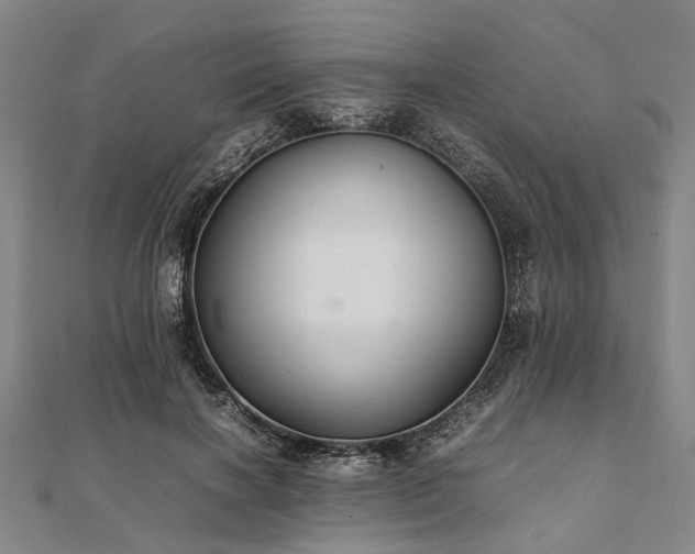 X0000111840646200907301051