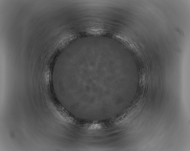 X0000111840647200907301051