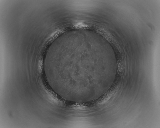 X0000111840648200907301051