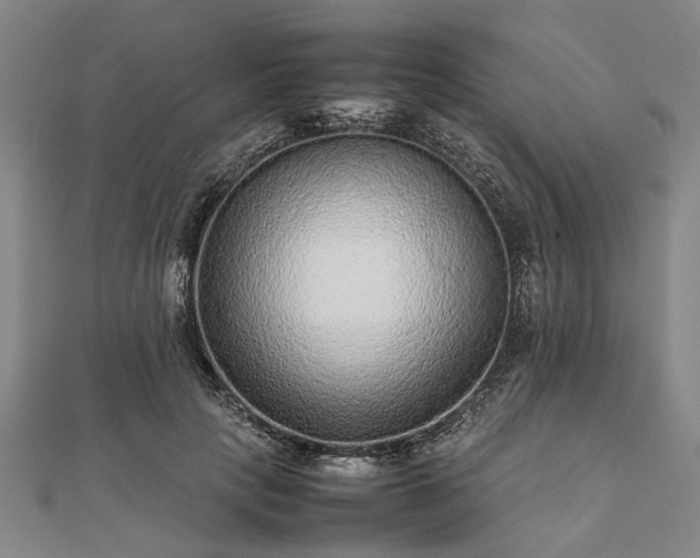 X0000111840649200907301051