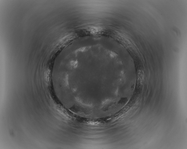 X0000111840650200907301051