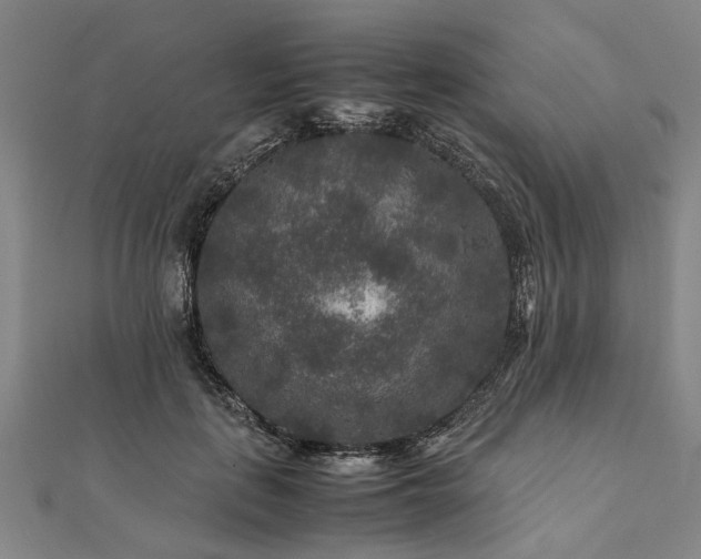 X0000111840651200907301051