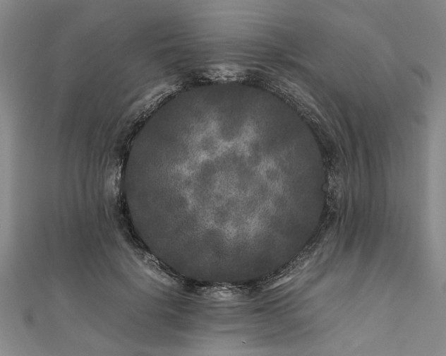 X0000111840652200907301051