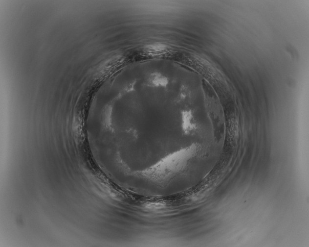 X0000111840653200907301051